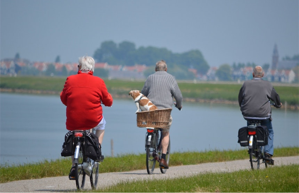 Scopri di più sull'articolo Obesità e sovrappeso fattori a rischio per l’incontinenza